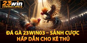 Đá gà 23Win03 – Sảnh cá độ hút khách năm 2025