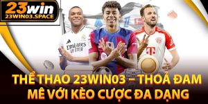 Giới thiệu chung về sảnh chơi thể thao 23Win03